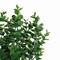 Dark Green Faux Eucalyptus Stems: Set of 3, 13-Inch Artificial Greenery Bushes